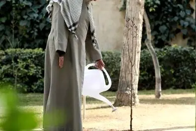 درختکاری