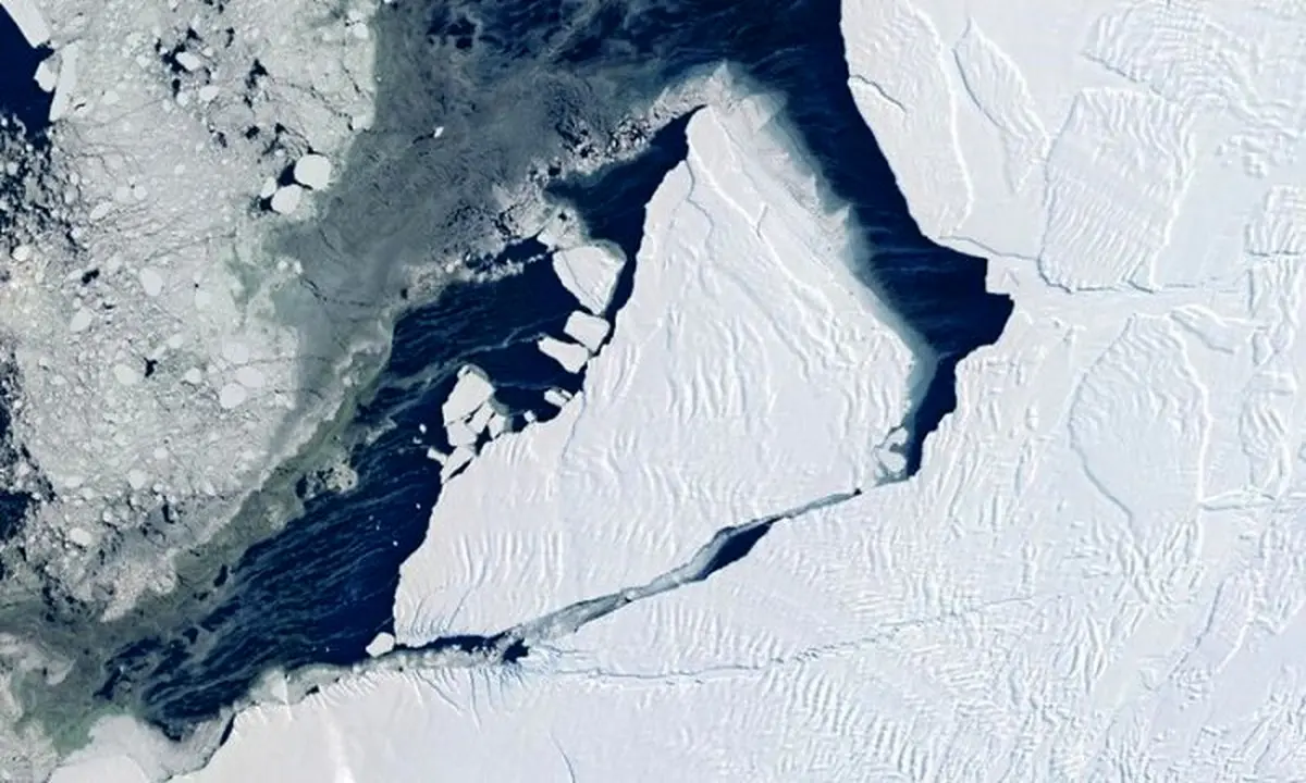 نقاشی شگفت‌انگیز روی یخ‌های شناور