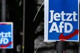 افزایش چشمگیر اعضای حزب افراطی جایگزینی برای آلمان