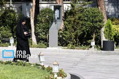 هیات دولت