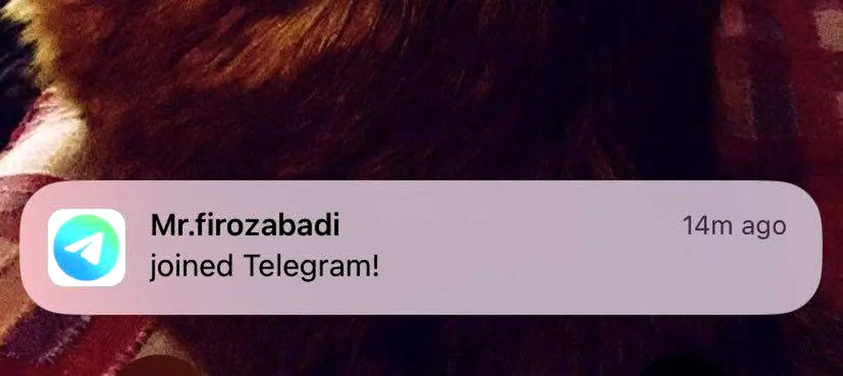 موافق فیلترینگ تلگرام به تلگرام پیوست!