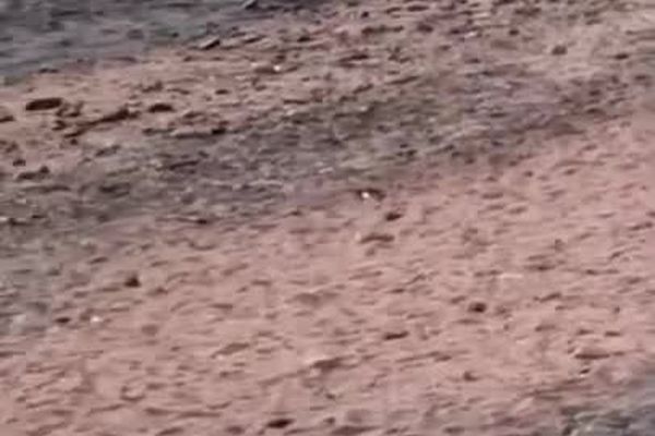 زخم نوروزی مسافران بر چهره‌ زیبا جزیره‌ هرمز