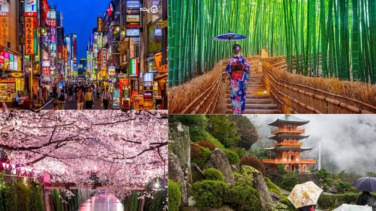 8 دلیلی که باید ژاپن را در لیست سفرهای خود قرار دهید.
