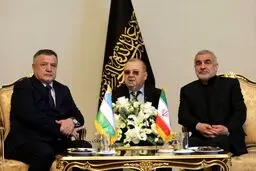 رئیس مجلس ازبکستان در گفت‌وگو با نیکزاد: ایستادگی ایران قابل تحسین است