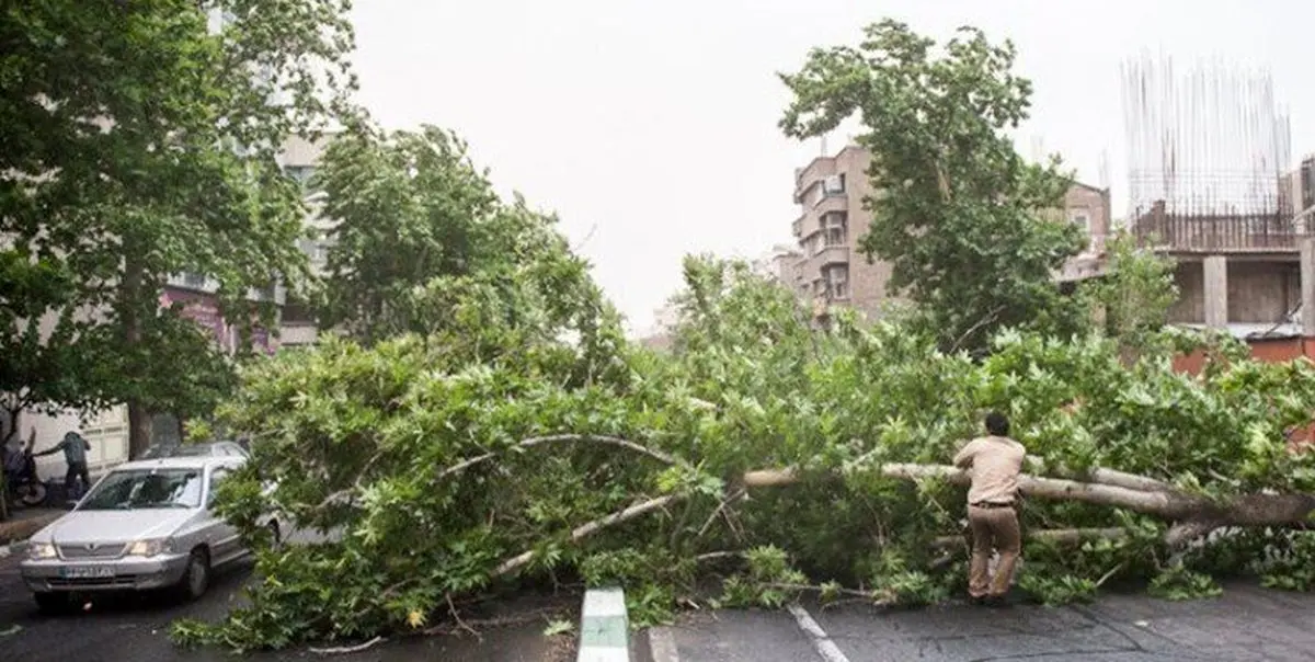 هشدار سطح قرمز هواشناسی به تهرانی‌ها | طوفان بزرگ در راه پایتخت؛ از خانه‌های خود خارج نشوید