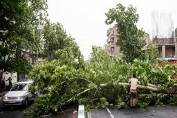 هشدار سطح قرمز هواشناسی به تهرانی‌ها | طوفان بزرگ در راه پایتخت؛ از خانه‌های خود خارج نشوید