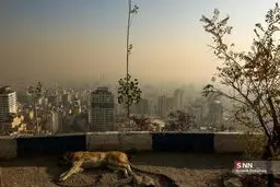 میانگین شاخص آلودگی هوای منطقه ۱۱ تهران به حدود ۲۰۰ رسید