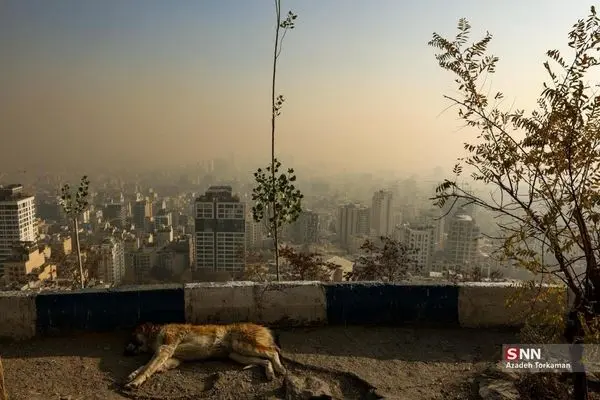میانگین شاخص آلودگی هوای منطقه ۱۱ تهران به حدود ۲۰۰ رسید