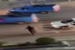 درگیری مرد کلاشینکف به دست در جاده مشهور + فیلم