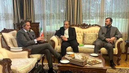 با مثبت شدن مذاکرات گروسی وارد جلسه شد
