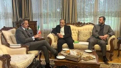 با مثبت شدن مذاکرات گروسی وارد جلسه شد