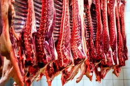 احتمال افزایش قیمت گوشت از پاییز
