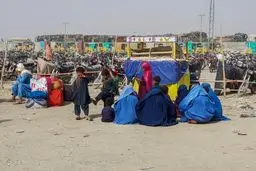 لحظه قاچاق انسان و ورود شبانه به مشهد