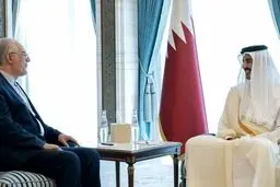 پایان ماموریت آقای سفیر؛ دهقانی با امیر قطر دیدار کرد