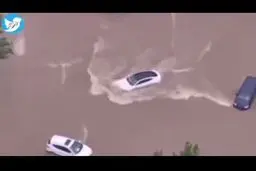 قدرتنمایی یک خودروی الکتریکی تسلا برای نجات از سیل چین