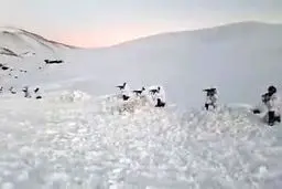  اجرای عملیات «رزم در برف» تیپ ۳۳ المهدی سپاه