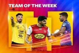 تیم منتخب هفته بیست و نهم لیگ برتر