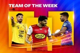 تیم منتخب هفته بیست و نهم لیگ برتر