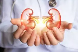 چند ترفند طلایی برای سلامت کلیه‌ها

