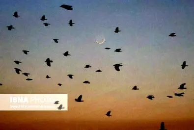 استهلال