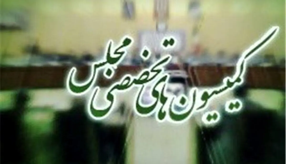 بررسی ابعاد حوادث اخیر کشور در دستور کار کمیسیون‌های تخصصی مجلس