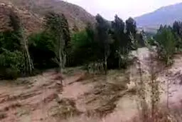 فیلم جدید از لحظه وقوع سیل در استهبان و تلاش یک زن و مرد