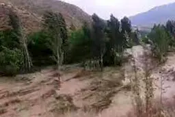فیلم جدید از لحظه وقوع سیل در استهبان و تلاش یک زن و مرد