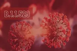 کارکنان تهرانی دورکار شدند؟