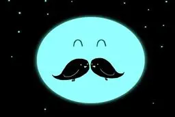 تست شخصیت شناسی : چهره یا دو پرنده ؟ ویژگی‌های پنهان شخصیت تو چیست ؟