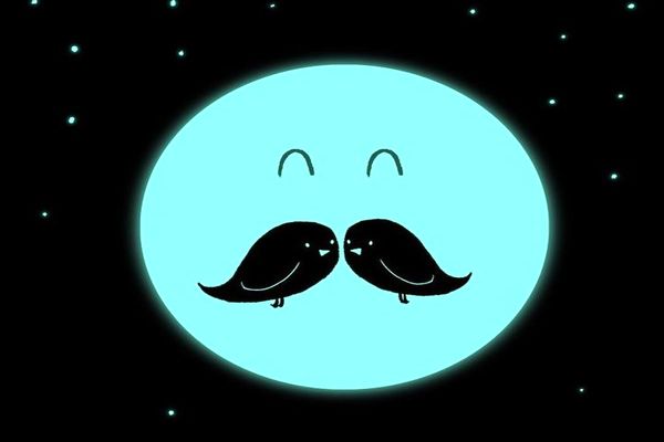 تست شخصیت شناسی: چهره یا دو پرنده ؟ ویژگی‌های پنهان شخصیت تو چیست ؟