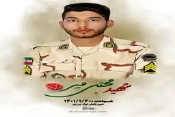 شهادت مامور مرزبانی ناجا در حین ماموریت
