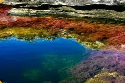 رودخانه عجیب پنج رنگ!عکس