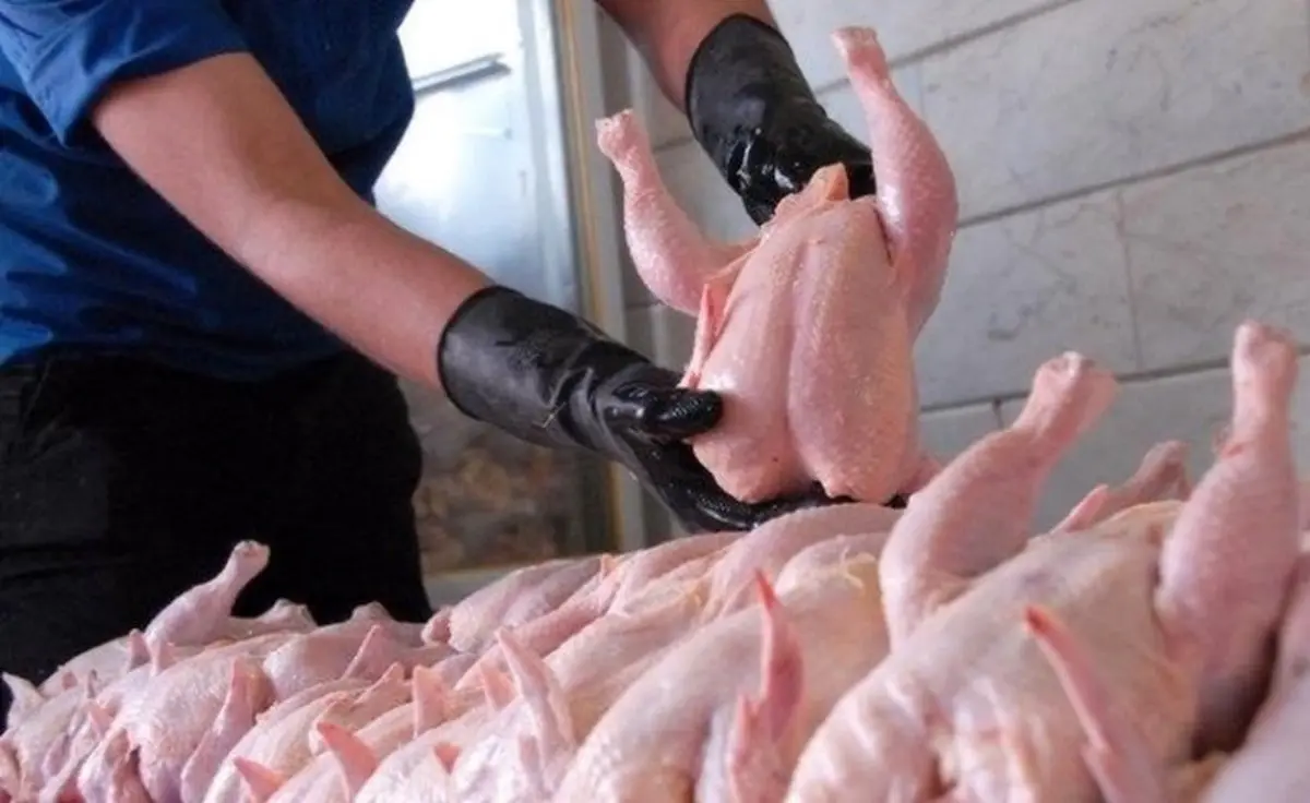 آخرین قیمت مرغ گرم امروز ۳ خرداد ۱۴۰۱ در بازار