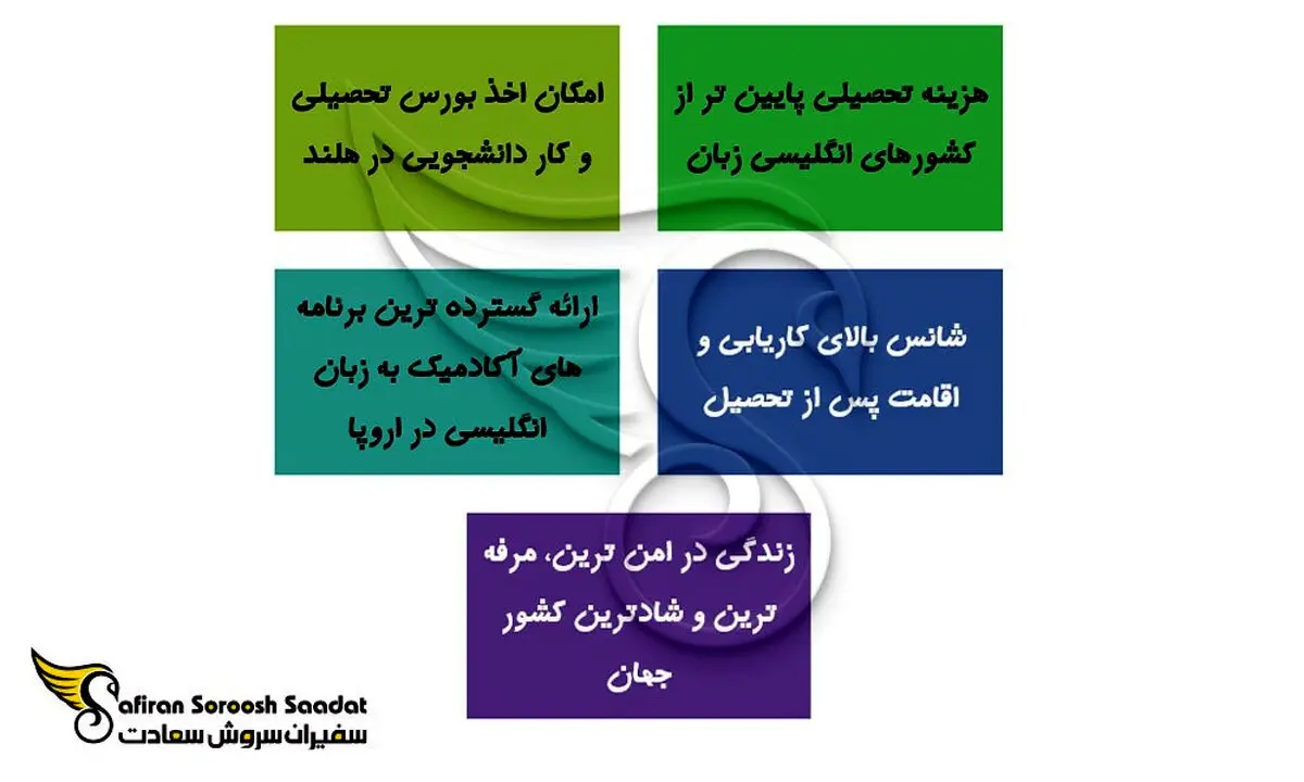 5 دلیل تحصیل در مقطع کارشناسی در هلند