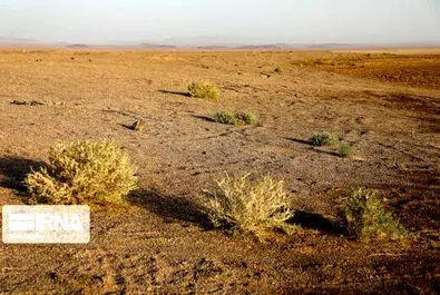 تالاب گاوخونی