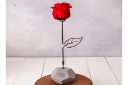 چه هدیه‌ای برای کادو ولنتاین، مناسب و جذاب است؟
