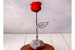 چه هدیه‌ای برای کادو ولنتاین، مناسب و جذاب است؟
