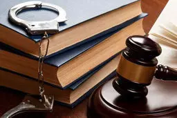 بازگشت کلاهبردار 20 هزار میلیاردی به کشور