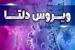 رکورد فوتی های کرونا باز هم شکست | آمار مرگ و میر کرونا