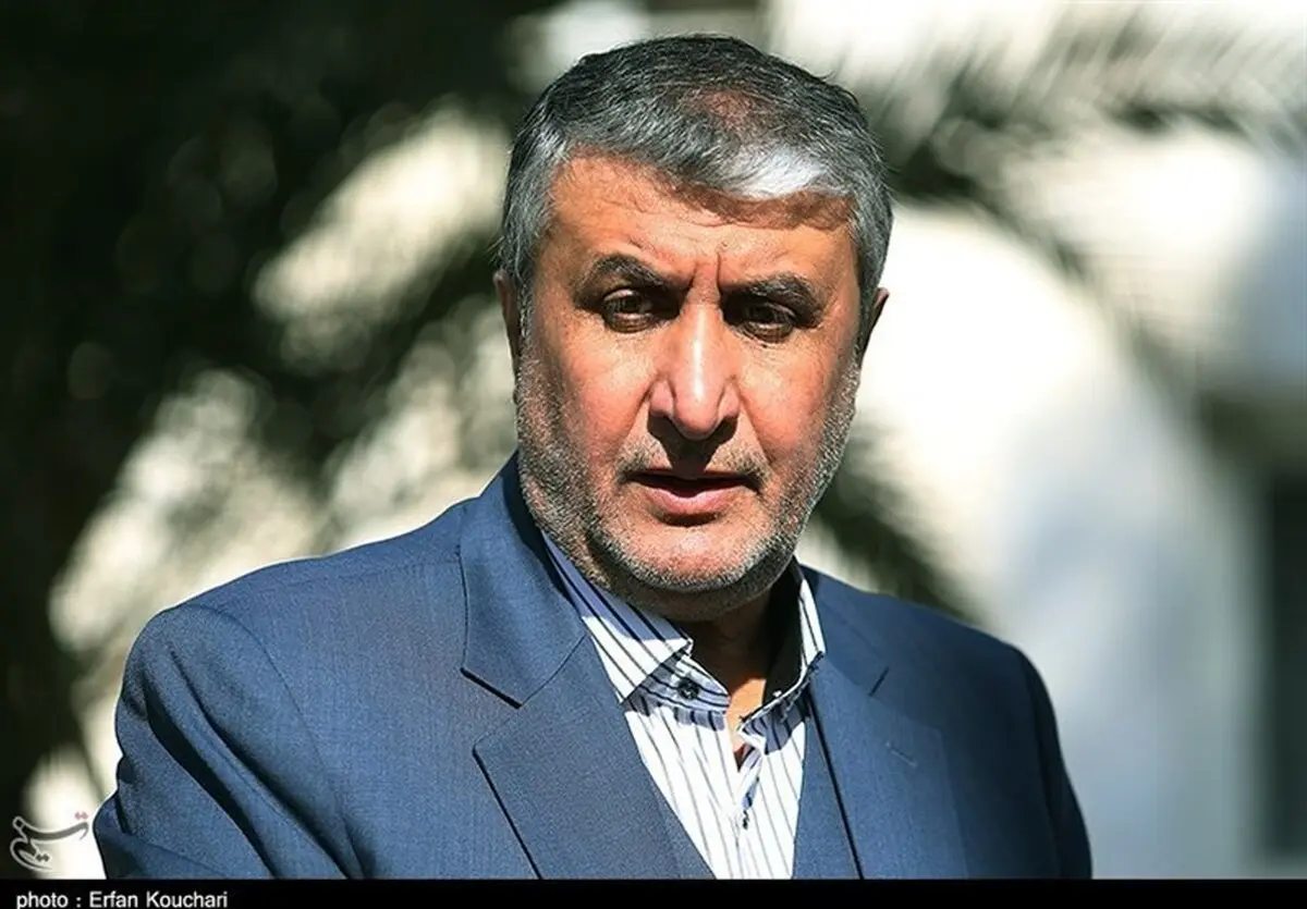 اسلامی: غنی‌سازی با خلوص بالا برای رفع تحریم است