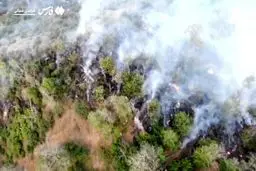 ویدئو هوایی از مناطق آتش‌سوزی پارک ملی گلستان