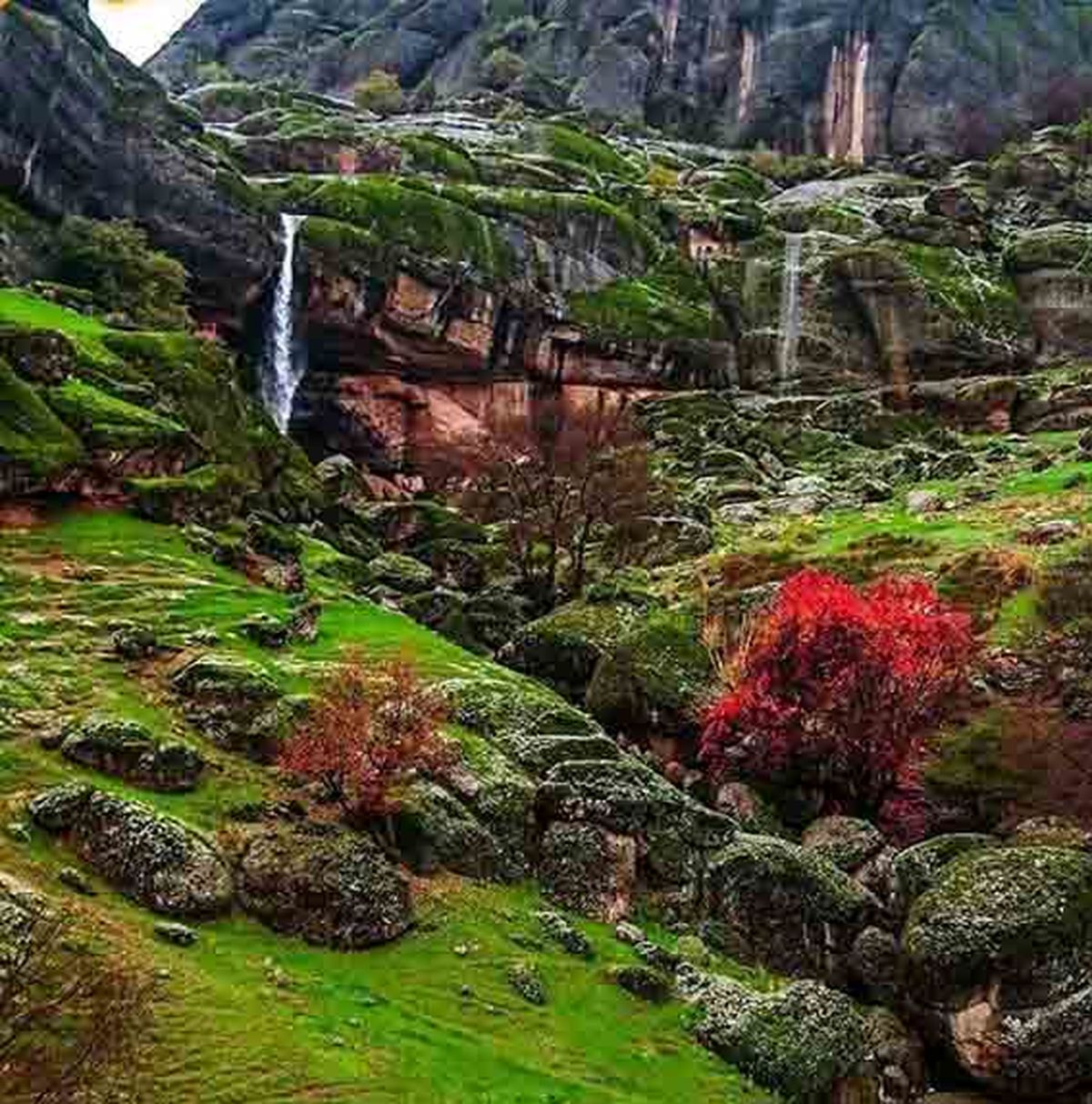 تصویر باورنکردنی در ایران؛مخمل کوه +آدرس