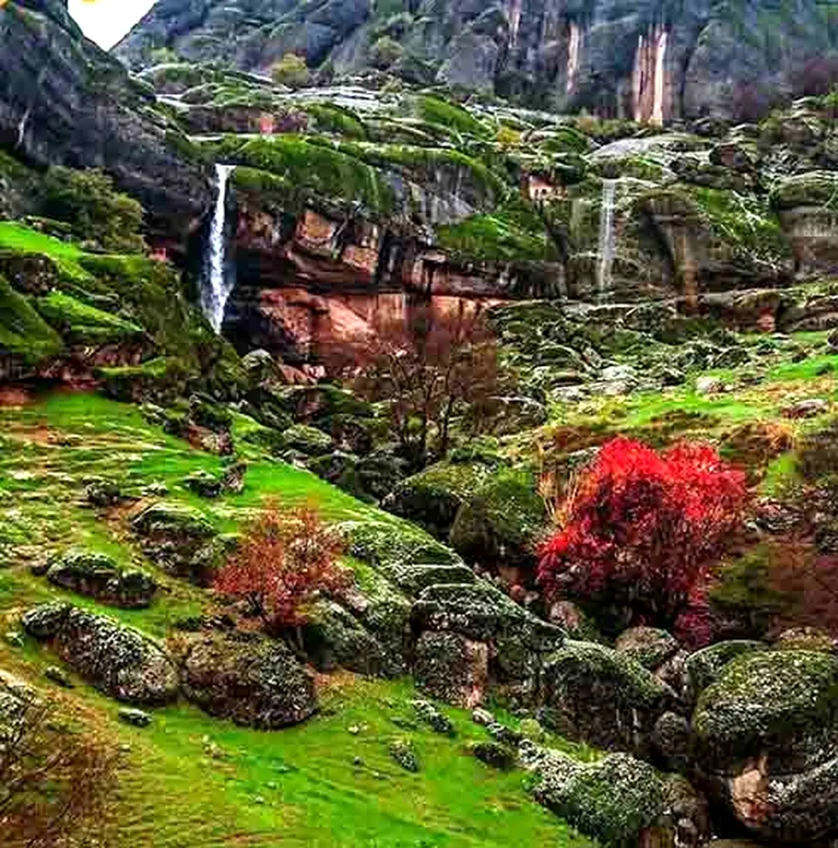 تصویر باورنکردنی در ایران؛مخمل کوه +آدرس