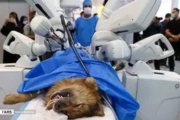 تصاویر نخستین جراحی از راه دور با ربات ایرانی