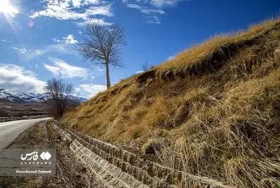 کوهرنگ