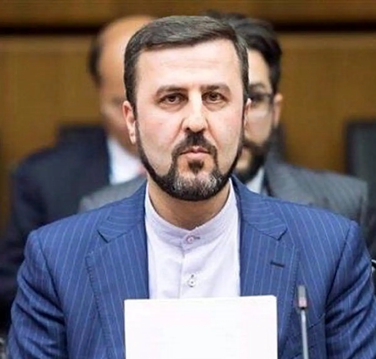 پاسخ نیش‌دار غریب‌آبادی به مقام حقوق بشری فرانسوی و آلمانی