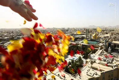 حضرت معضومه قم