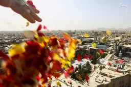 تصاویر گلباران هوایی حرم حضرت معصومه (س) در قم