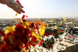 تصاویر گلباران هوایی حرم حضرت معصومه (س) در قم