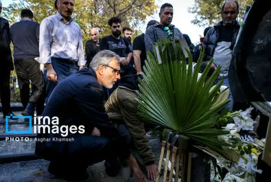 منصوره قدیری جاوید